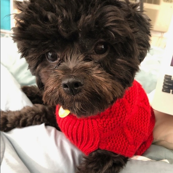 Meet your Posher, Isa - Picture 1 of 1